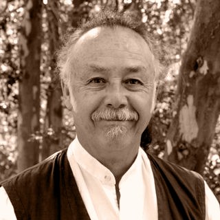 Mauricio Cerda B.